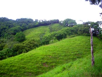 Vue de la finca de 6 has de La Esperanza, Costa Rica
